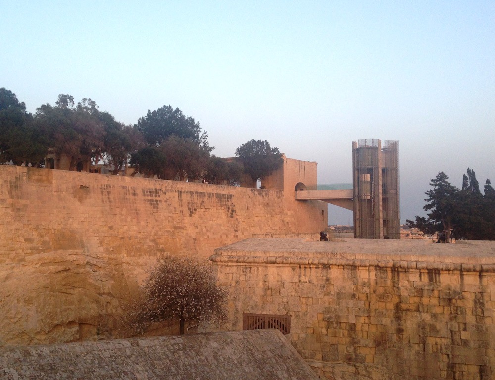Almond tree in the midst of Valletta bastions.