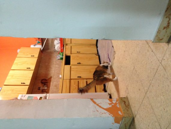 Experiments with enough – Day 98